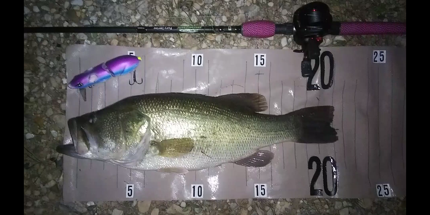 That's One Big Bait! - Fishing Tackle - Bass Fishing Forums
