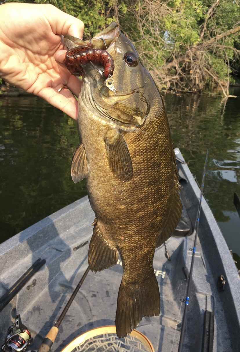 My New Smallmouth Heaven - Pics - Smallmouth Bass Fishing - Bass ...