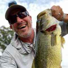 Are DC Reels Really Bad for Beginners? - Fishing Rods, Reels, Line