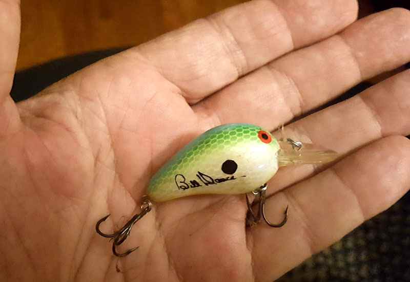 Ultralight bass fishing technique - Fishing Rods, Reels, Line, and Knots -  Bass Fishing Forums