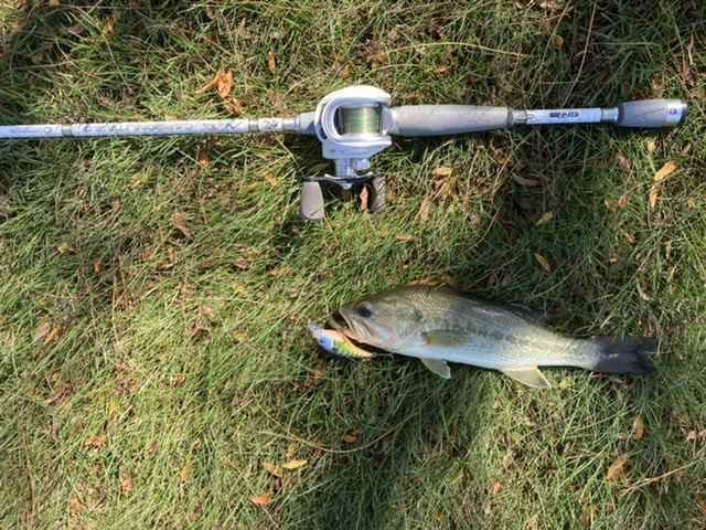 Who Makes A Better Rod? St.croix Or G.loomis? - Fishing Rods, Reels, Line,  and Knots - Bass Fishing Forums
