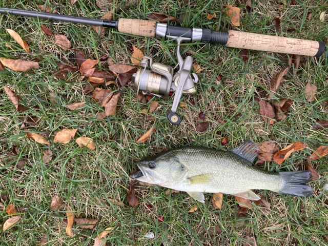 Sufix ProMix - Fishing Rods, Reels, Line, and Knots - Bass Fishing Forums