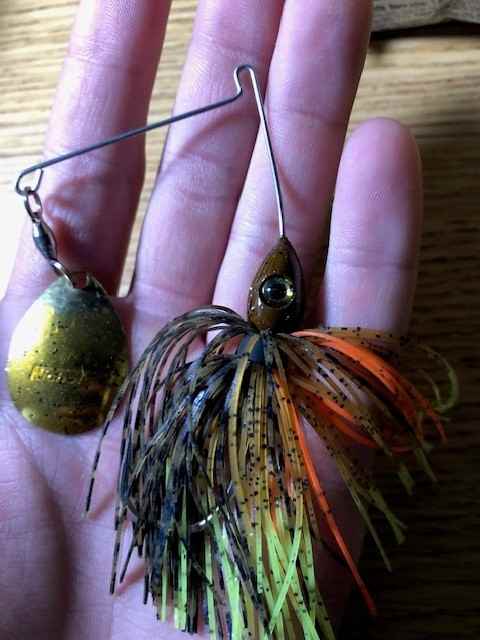 Beetlespins gettin er done - Fishing Tackle - Bass Fishing Forums