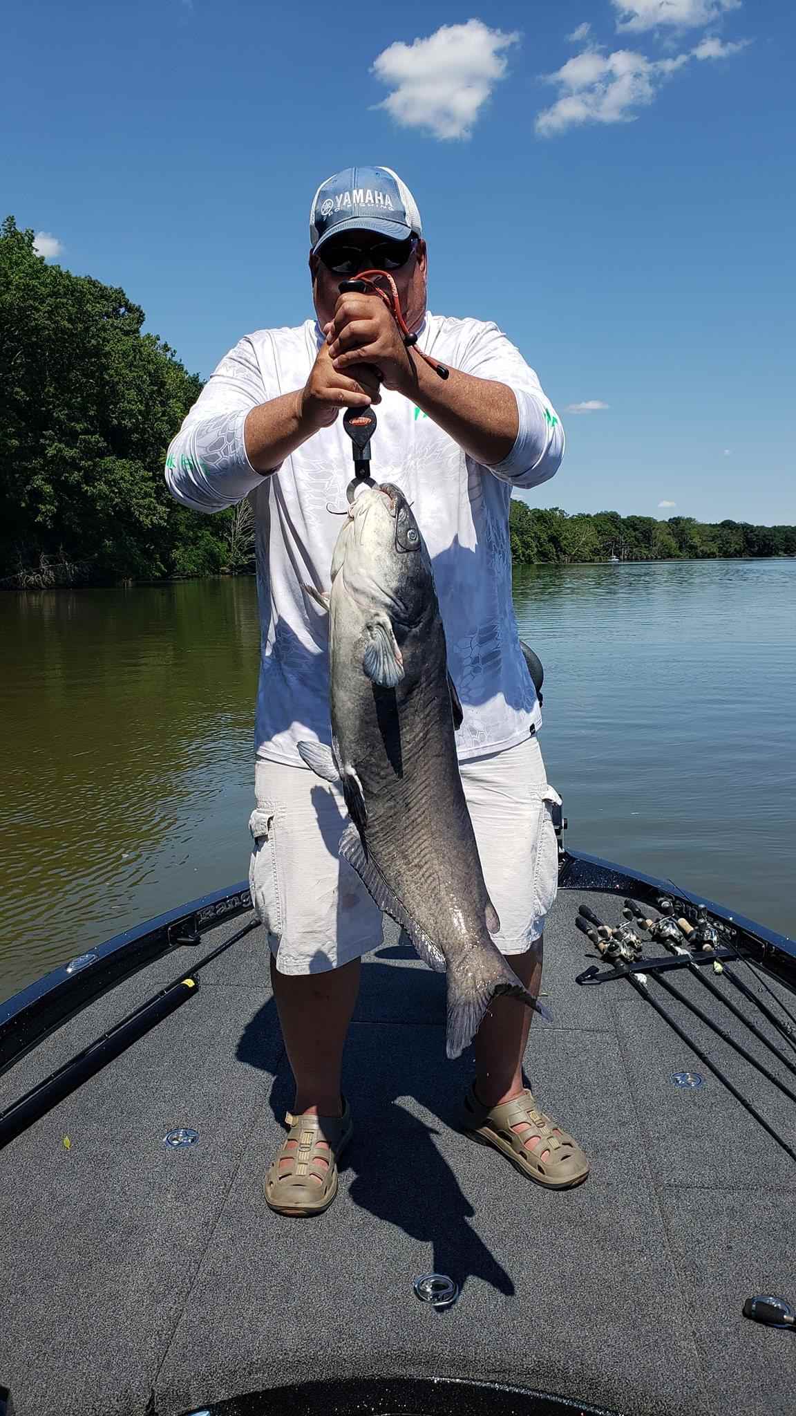 6lb mono on 1000 sized reel - Other Fish Species - Bass Fishing Forums
