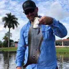 Dobyns Fury versus Falcon Lowrider - Fishing Rods, Reels, Line, and Knots -  Bass Fishing Forums