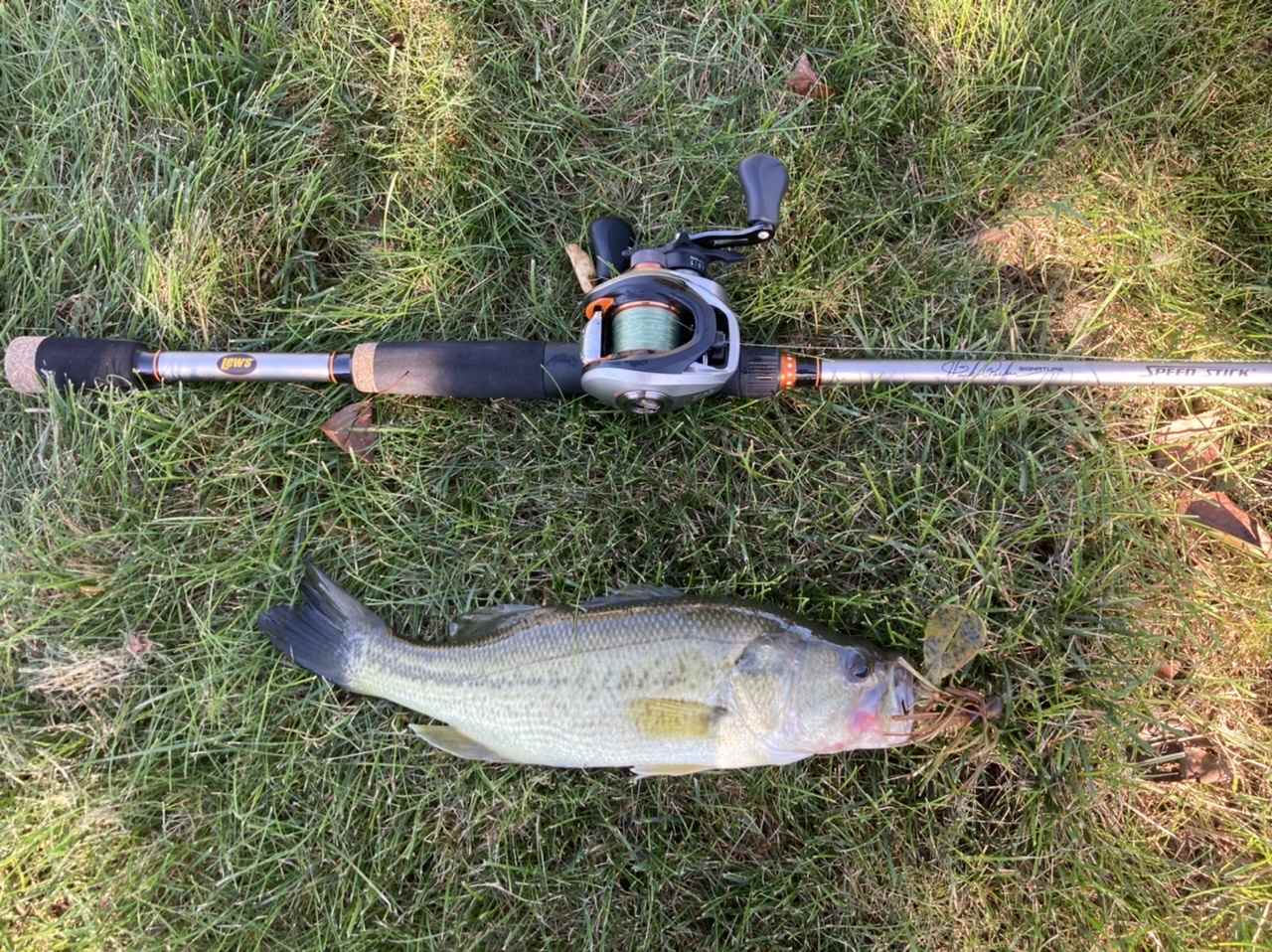 Telescopic Fishing Rod Only No Reel Fishing Pole for Bass Trout Fishing -  AliExpress