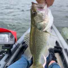 Standing up in a pond prowler 8 - Bass Boats, Canoes, Kayaks and more -  Bass Fishing Forums