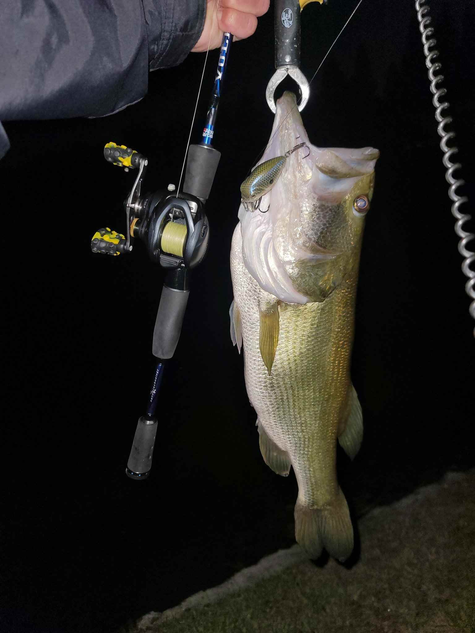 Bass Pro Shops The Egg & Biggest Bass So Far This Year! - Fishing Tackle - Bass  Fishing Forums