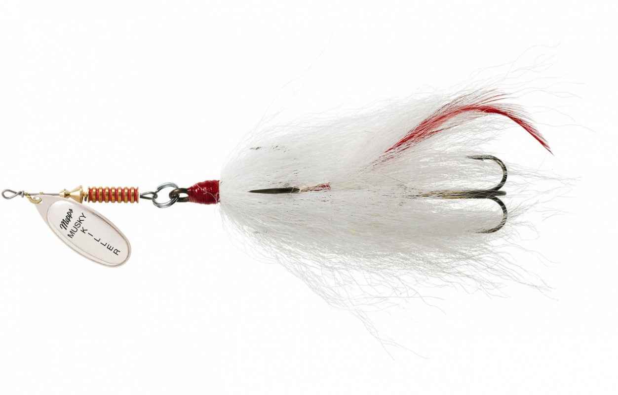 Mepps Aglia Trout Kit, Multi, one Size (KB-T) : : Everything Else