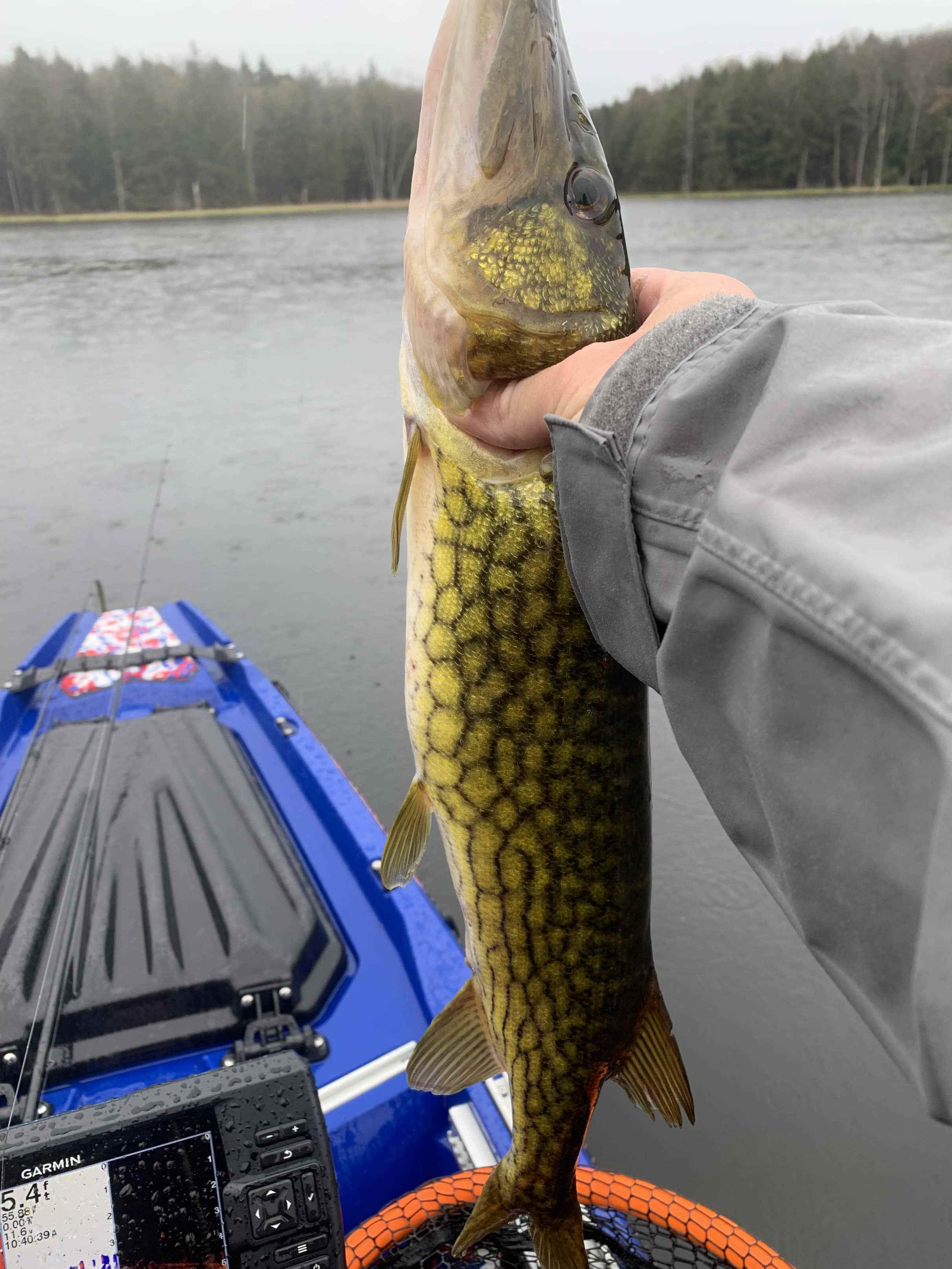 My son caught his PB Northern Pike on a little crappie jig and a 5