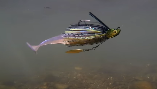 Bluegill Swimbaits - Everything You Need To Know! **Underwater