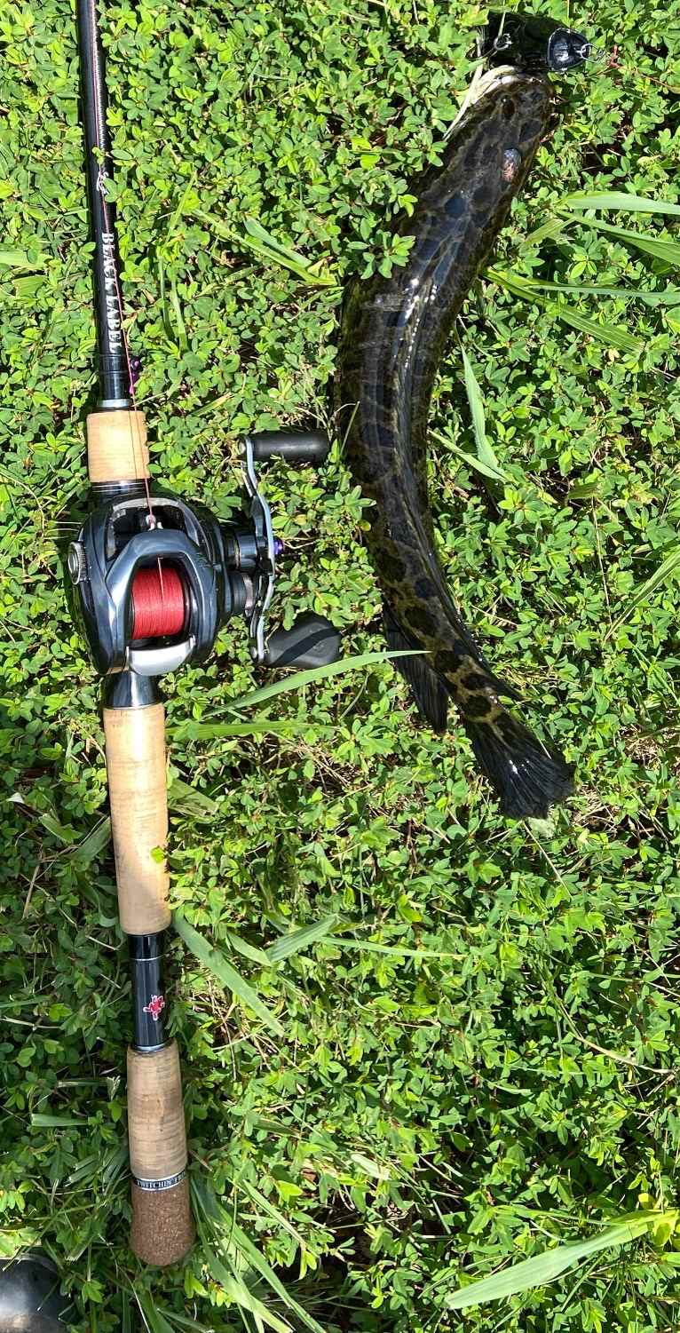 Short Frog Rod for Kayak - Fishing Rods, Reels, Line, and Knots
