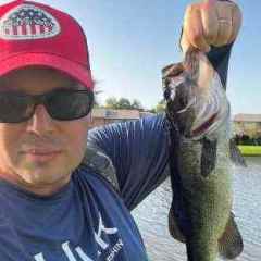 Your Best and Worst - Fishing Tackle - Bass Fishing Forums