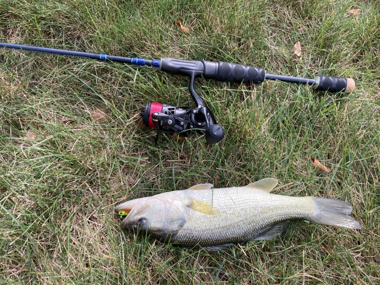 How should I set up my rods for bass fishing and maybe some crappie/bluegill?  : r/FishingForBeginners