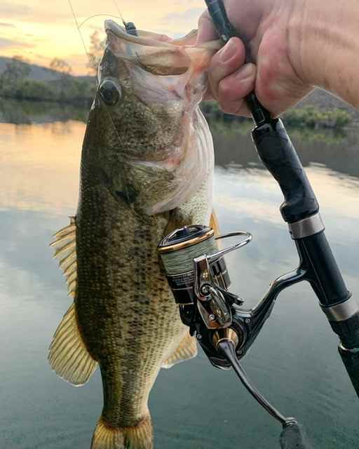 I hate spinning gear - Fishing Rods, Reels, Line, and Knots - Bass