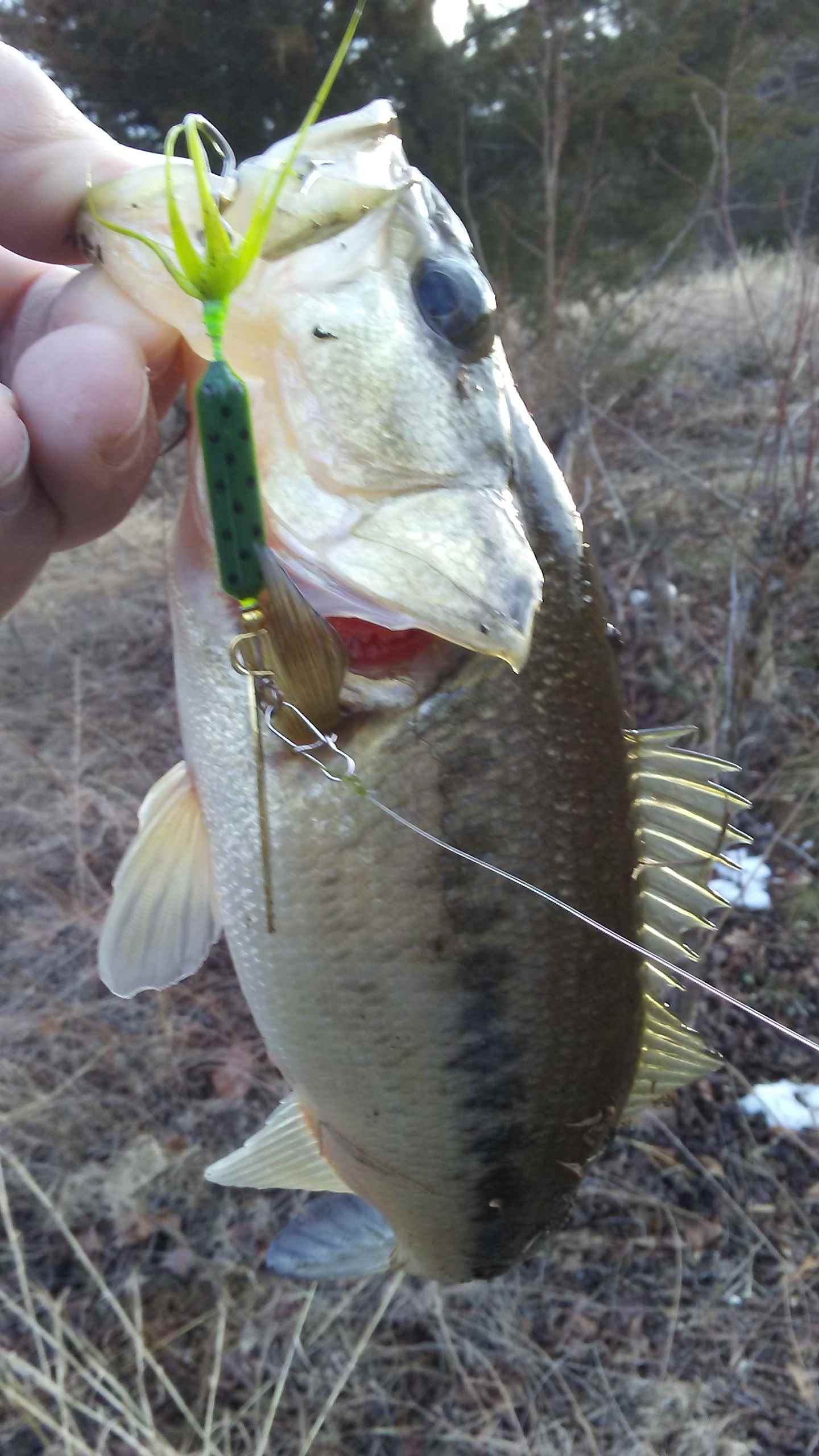 Success on a topwater I haven't tried before, plus a Fox River largemouth