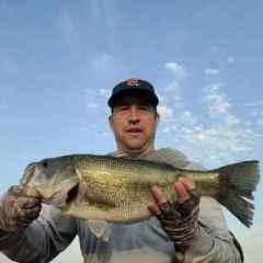 Heavier Weight Frog - Fishing Tackle - Bass Fishing Forums