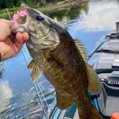 What size Bobber stops - Fishing Tackle - Bass Fishing Forums