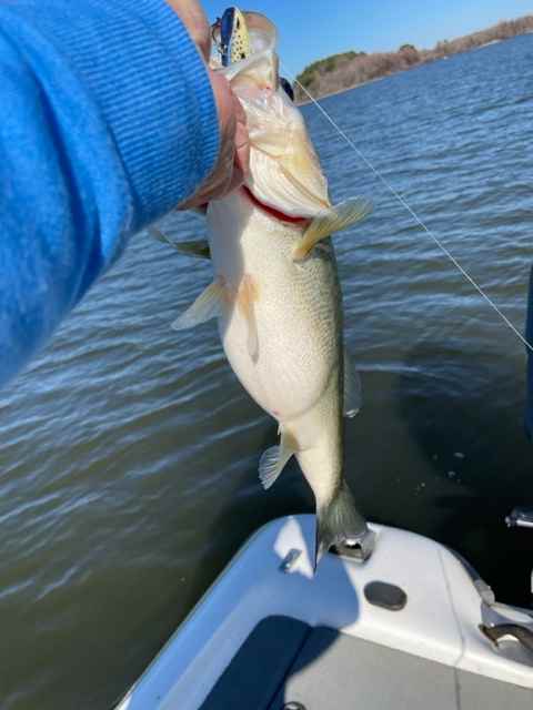 So Yall Want To Learn Toledo Bend? - Page 384 - Central Bass