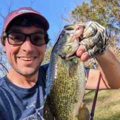 Glide Baits: Floating or Slow Sink? - Fishing Tackle - Bass