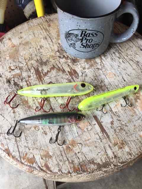 Clear Water Walk-the-Dog Baits - Fishing Tackle - Bass Fishing Forums