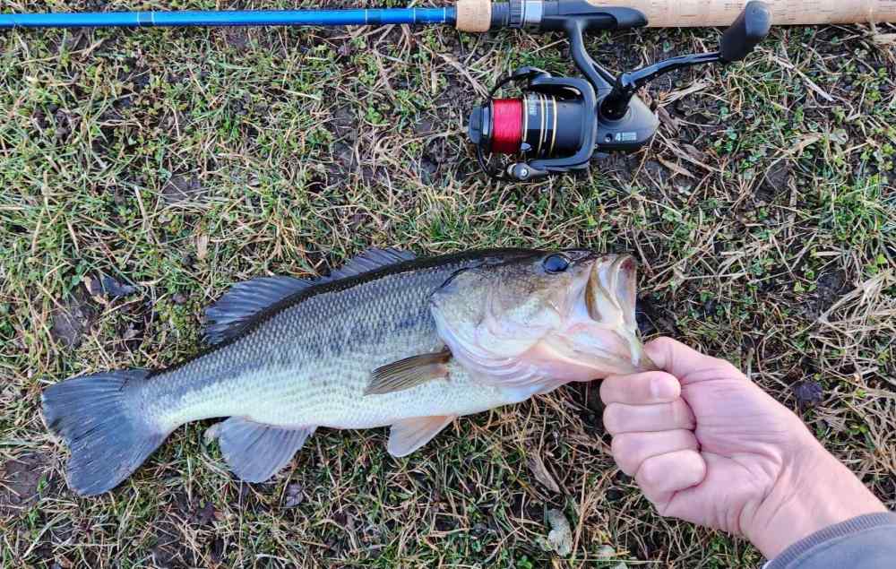 First day fishing 2023, first fish on first cast. Fishing Reports