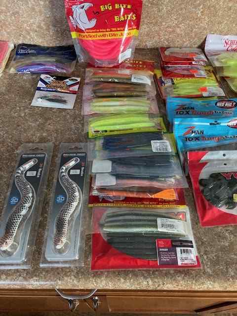 Big Bite Baits 6 inch Pro Lizard Soft Plastic (Confusion)