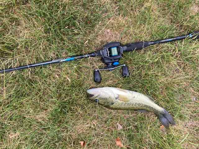 HELP: Fly rod wt recommendation - 5/6 or 7/8 wt? - Fishing Rods, Reels,  Line, and Knots - Bass Fishing Forums