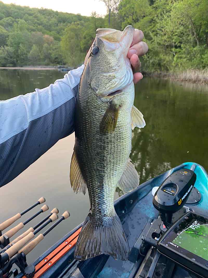 What rod holders do y'all use for bank fishing for larger freshwater fish?  : r/FishingForBeginners