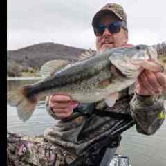 lews Mr. Catfish spinning rod - Fishing Rods, Reels, Line, and Knots - Bass  Fishing Forums