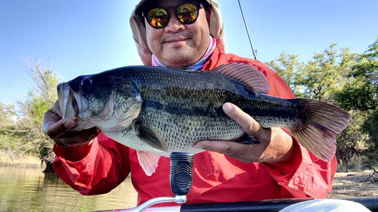 https://www.bassresource.com/bass-fishing-forums/uploads/monthly_2023_05/lmb_selfie.jpeg.84696613fe8760605b4cc273740fa796.jpeg