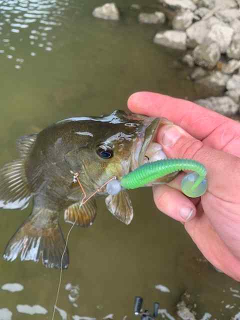 Fishing the James River with Inline Spinnerbaits 