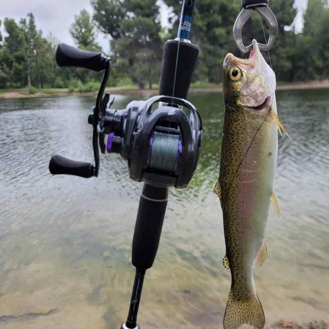 New BFS Round Casting Reel, w/ Interesting Reel Cover - Fishing Rods, Reels,  Line, and Knots - Bass Fishing Forums
