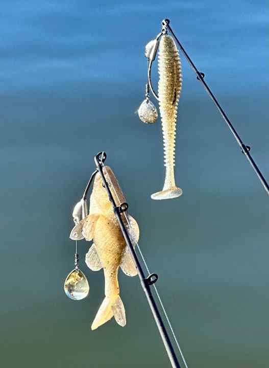 Paddletail Swimbait Setups - Fishing Rods, Reels, Line, and Knots