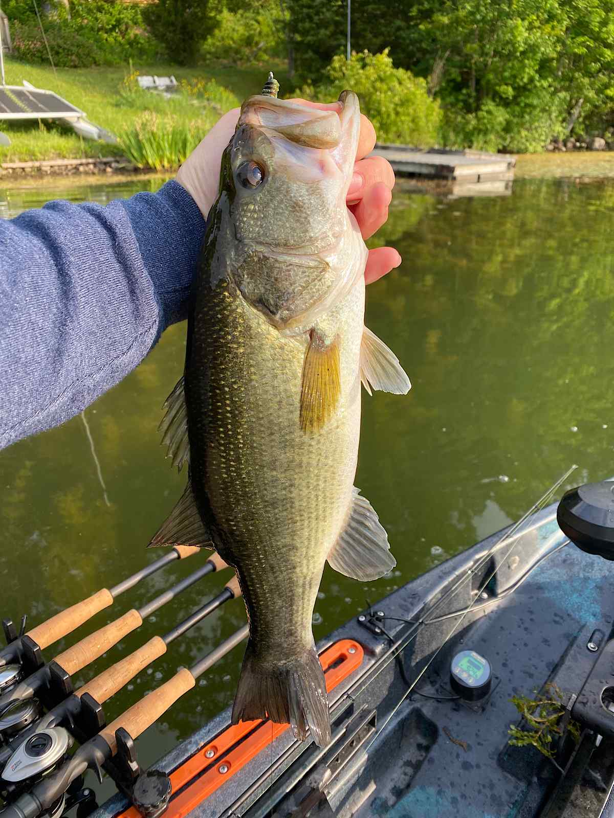 Morning bite in NNJ. My PB on a 5 Texas rigged senko : r/bassfishing