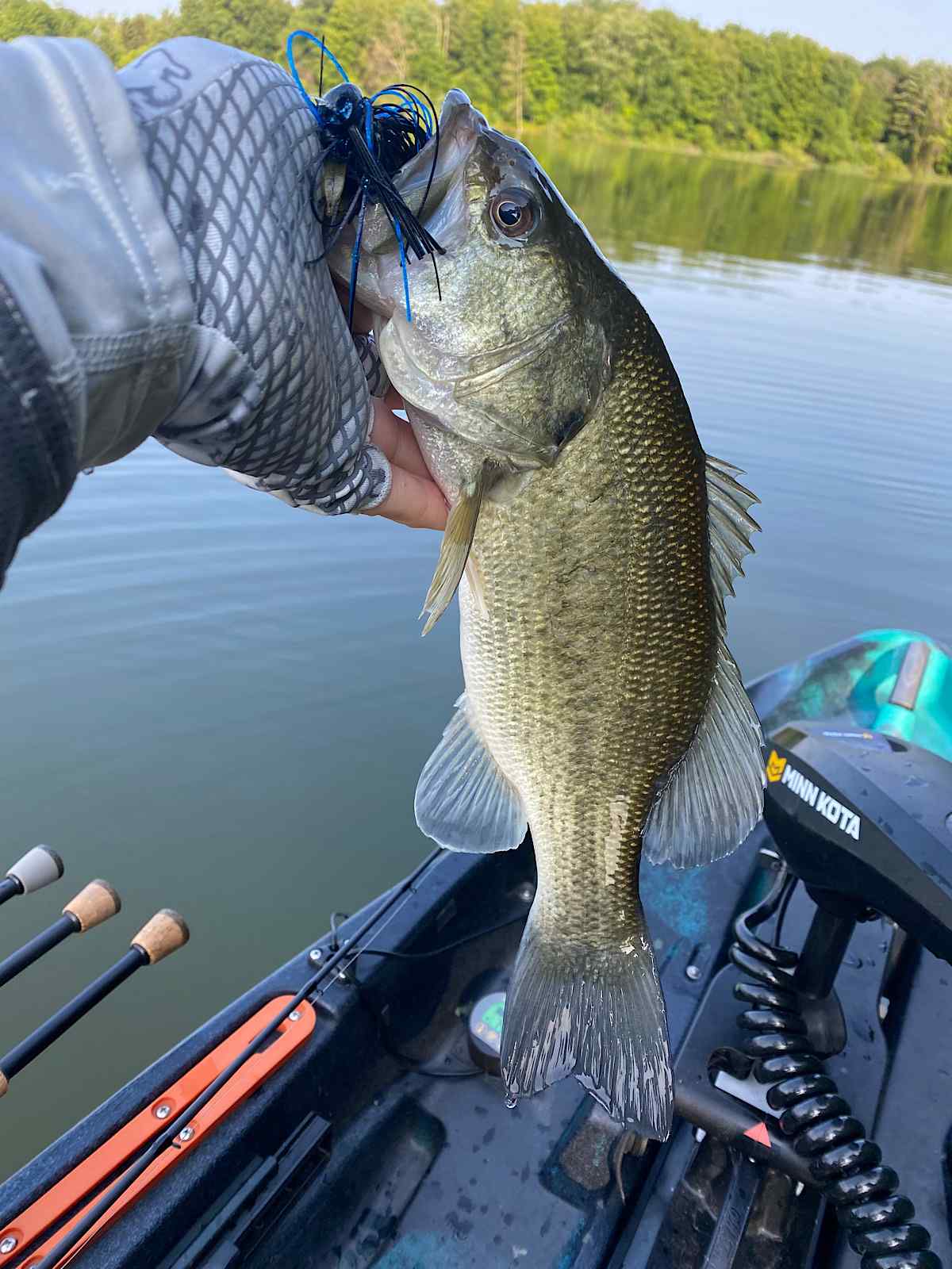 Live! From the water. 18 June 2023 - Fishing Reports - Bass