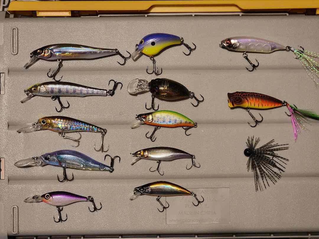 Fishing with Z-Man Micro Finesse Lures - Part 3 - From The Boat