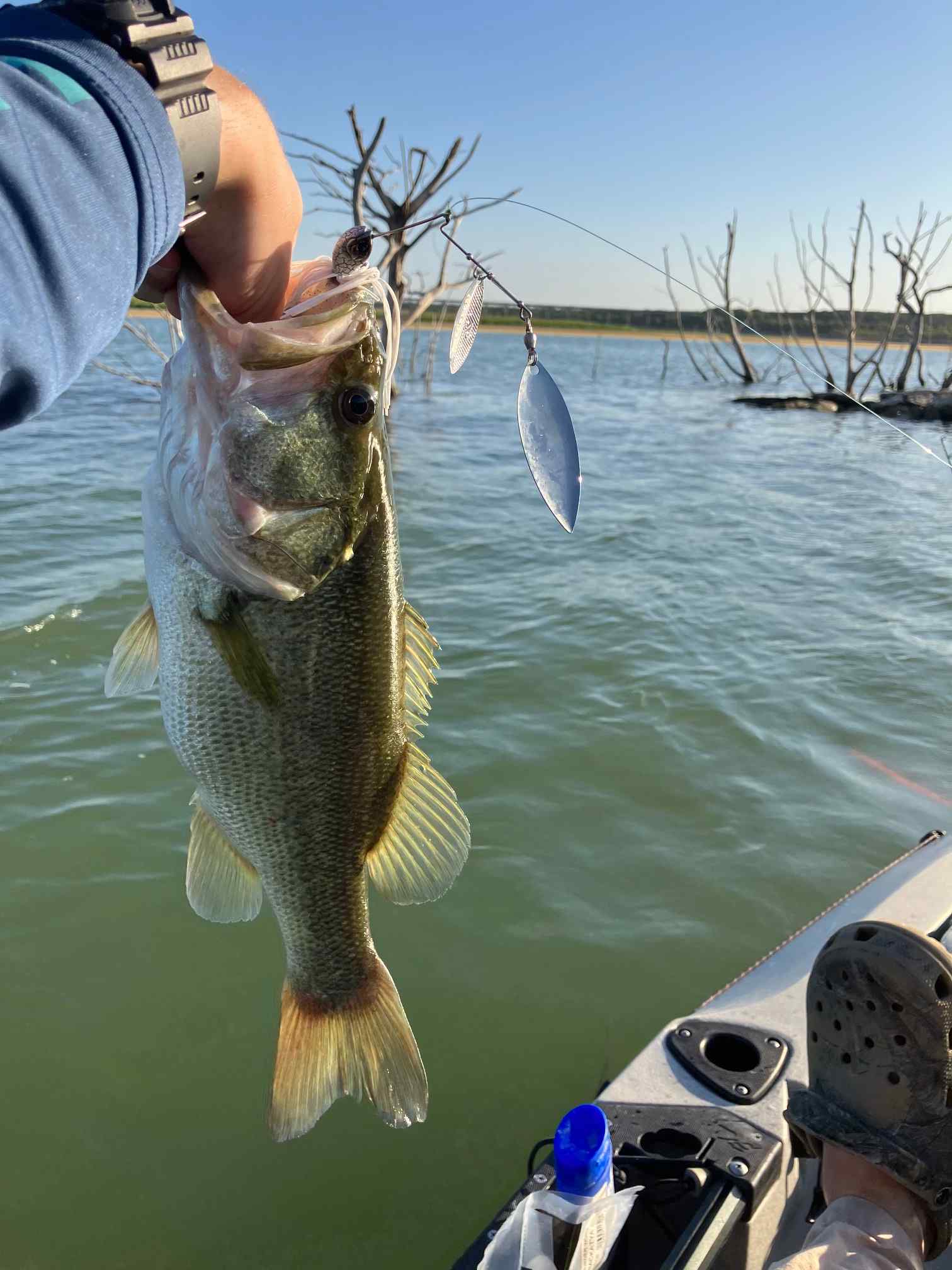 Latest Catch Pics Thread - Page 571 - Fishing Reports - Bass Fishing Forums