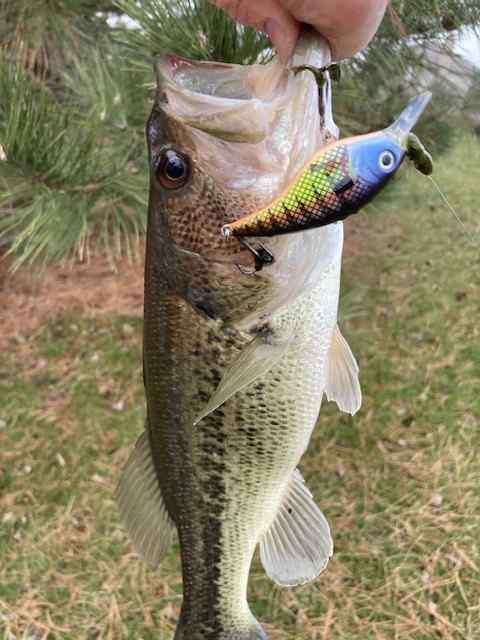 Lot of 4 Ozark Trail 3 Piece Minnow Crank Fish Bait Lure Set with