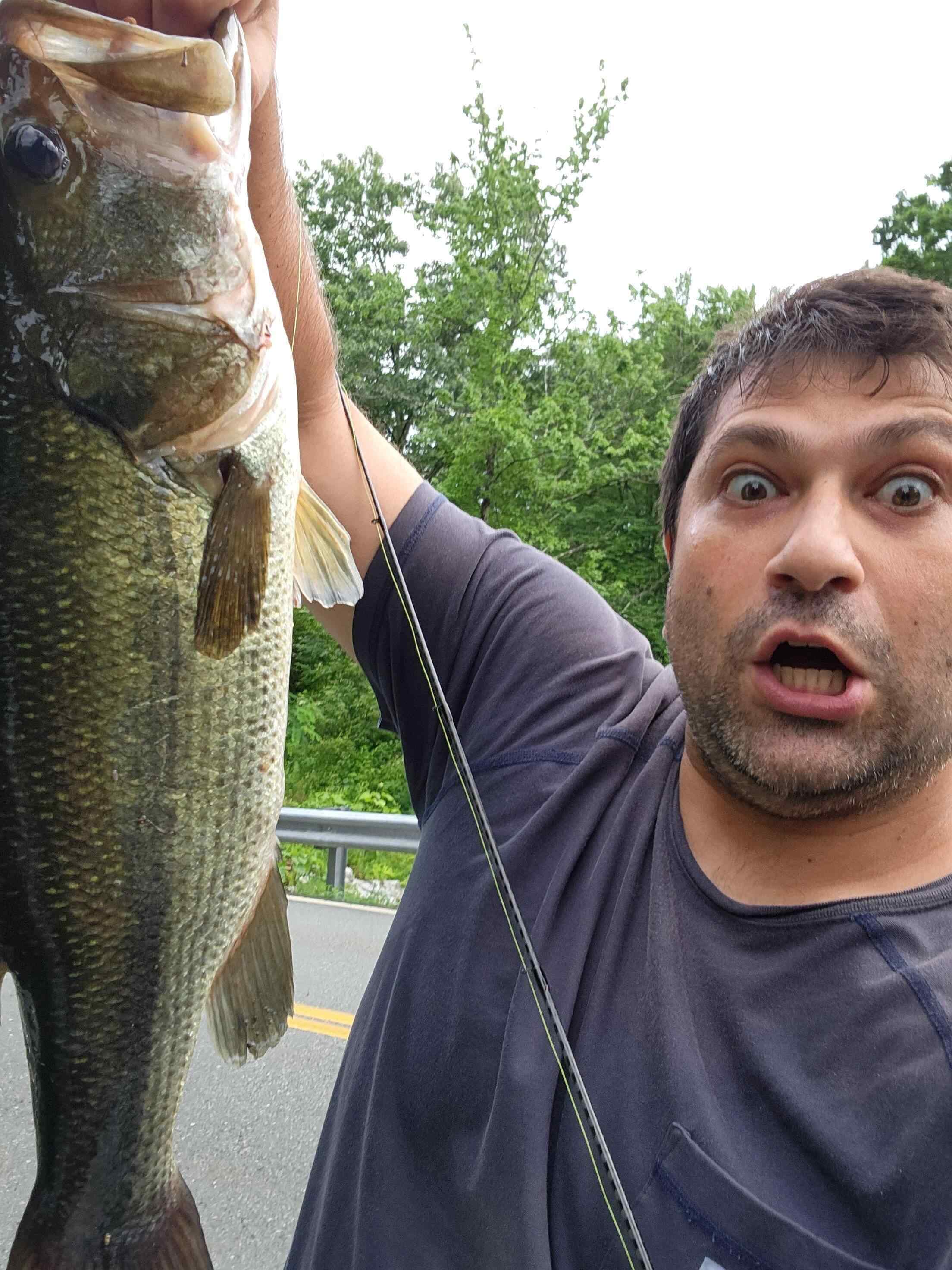 What would you guess the weight of this fish was? - Fishing Reports - Bass  Fishing Forums