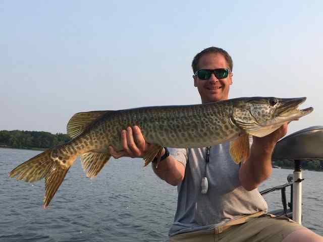 MuskieFIRST  Tiger? » General Discussion » Muskie Fishing