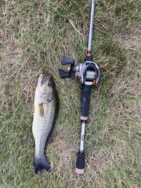 This was interesting.. - Fishing Rods, Reels, Line, and Knots - Bass  Fishing Forums