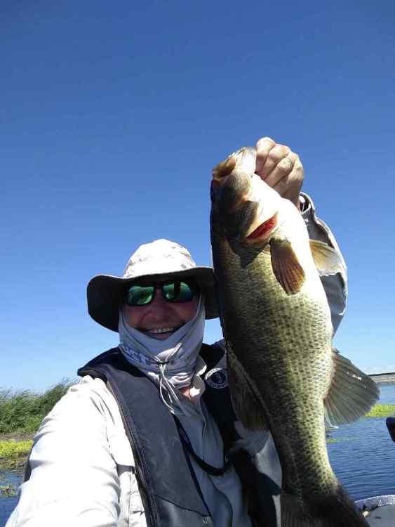 Caught this mini/future hog today on this Frankenstein rig : r/bassfishing