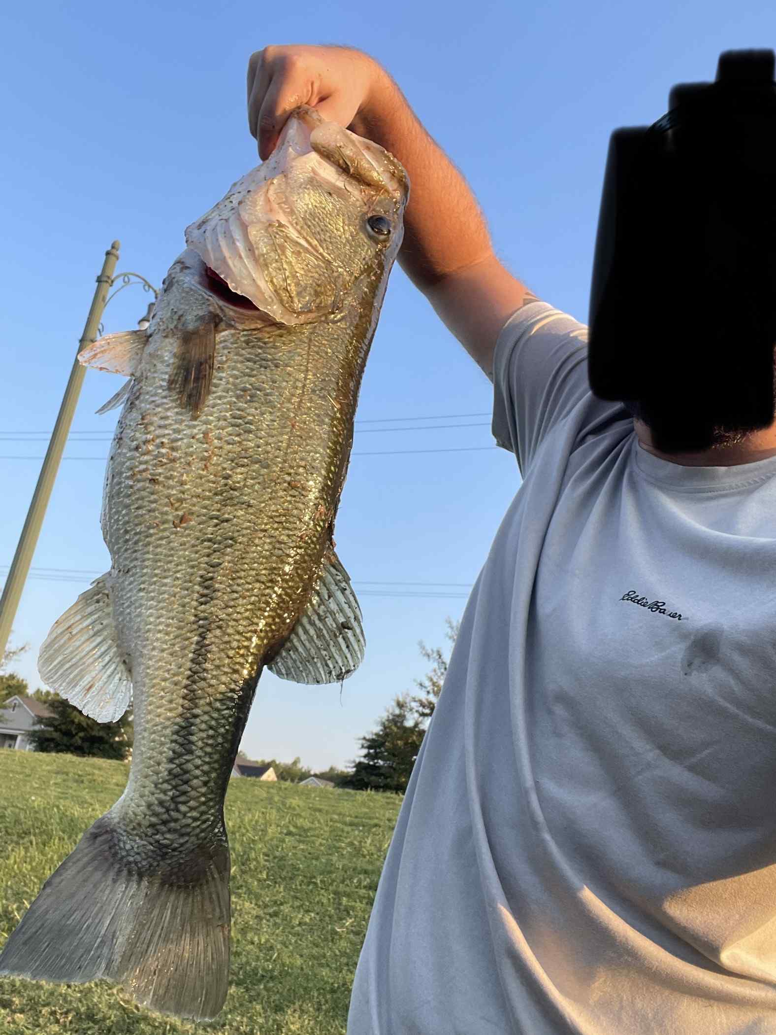 I Didn't Think It Was THAT Big - Rattletrap Pond Bass Fishing