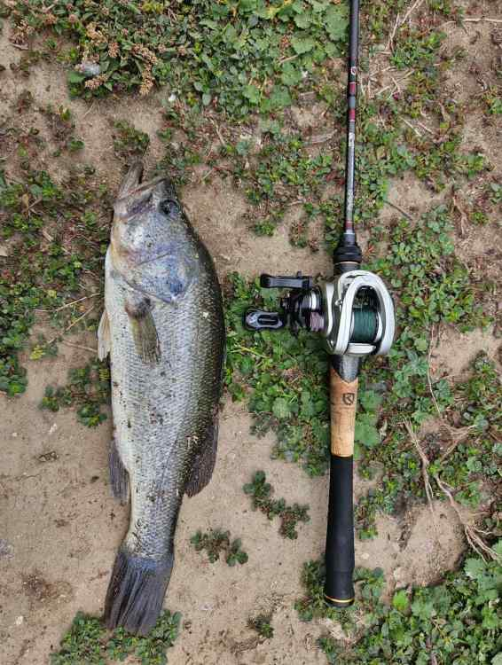 Any Berkley X9 Braid Users ? - Fishing Rods, Reels, Line, and Knots - Bass  Fishing Forums