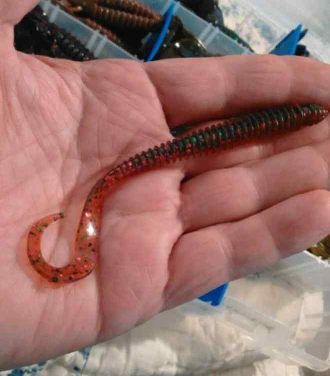 Red Worms - Fishing Tackle - Bass Fishing Forums