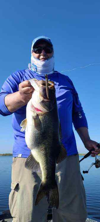 Two questions about Florida bass fishing - Southeast Bass Fishing - Bass  Fishing Forums