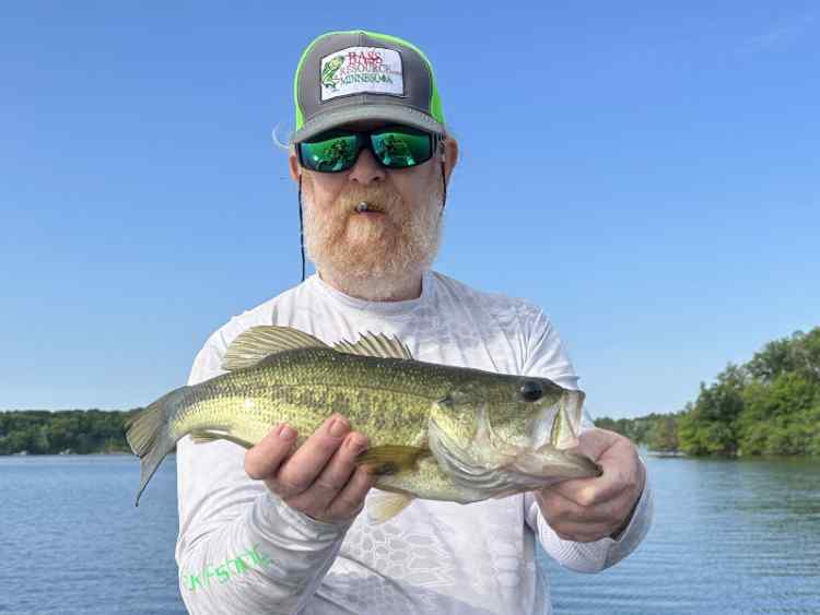 Ned rig is it working? - Fishing Tackle - Bass Fishing Forums