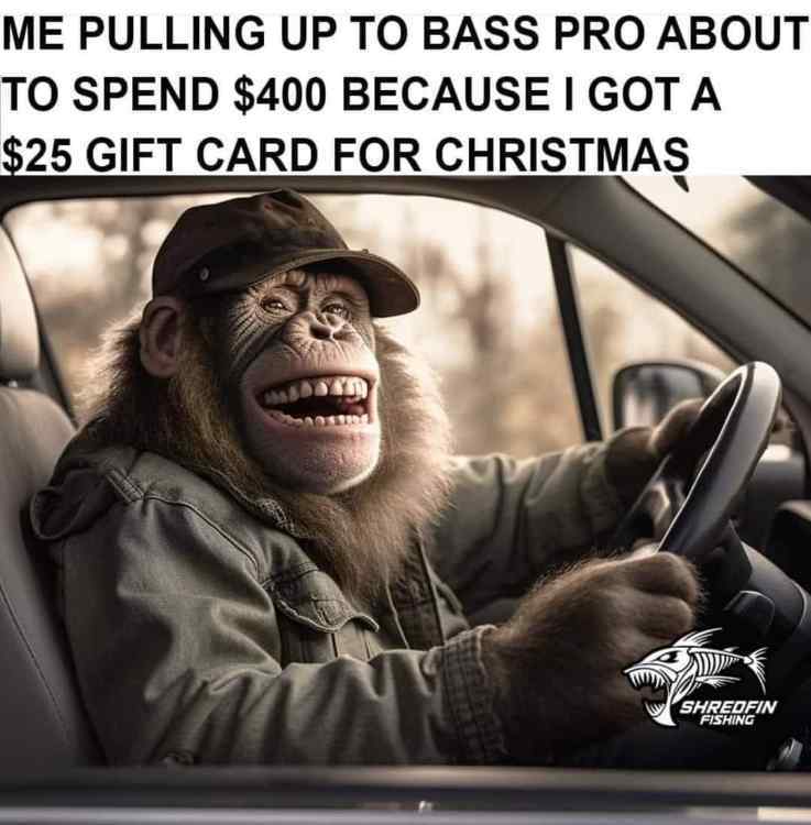 Image tagged in memes,le monke,monkey,funny,meme,funny meme - Imgflip