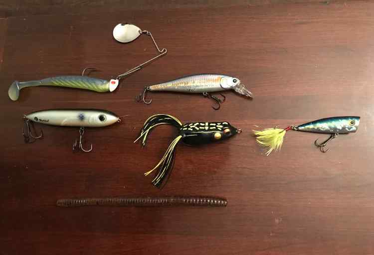 Spinner Bait (Gold Willow/Gold Colorado) – Epic Baits Fishing